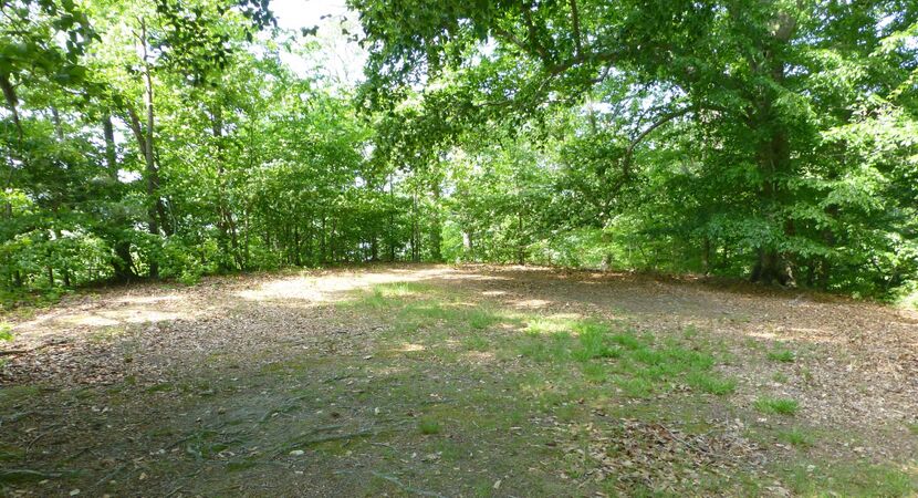 Smith's Fort Site