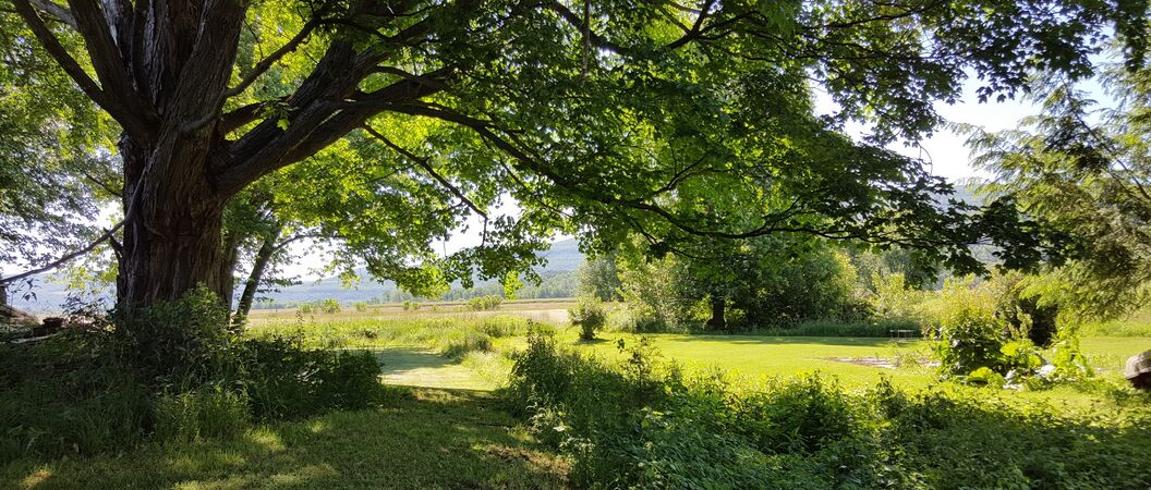 Upper Fort Locale, Looking from the Markers East toward Schoharie Creek.