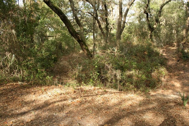 File:Fort Yellow Bluff - 04.jpg